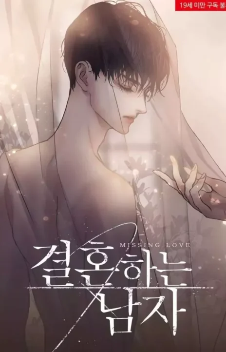 Missing Love vf Cover Image
